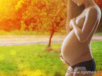 Utero in affitto: così prende corpo la fronda dentro il Pd