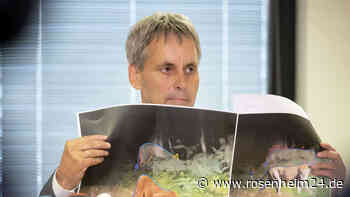 „Die lachen sich ins Fäustchen“: Hohn und Spott nach überraschendem Abbruch der Löwen-Suche in Berlin