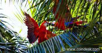 DeFi Project Parrot Puts Fate of Over $70M Treasury, PRT Token, to Vote