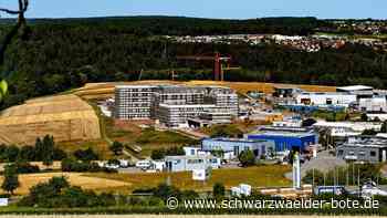 Gemeinderat zu Klinik-Debatte: Gerät medizinische Versorgung in Calw in Gefahr?