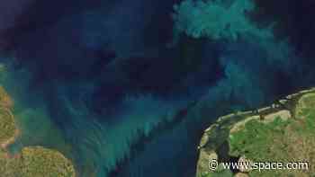 Climate change may be changing the color of Earth's oceans