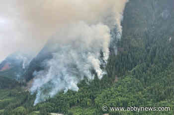 Crews making progress as Davis Lake wildfire remains at 150 hectares