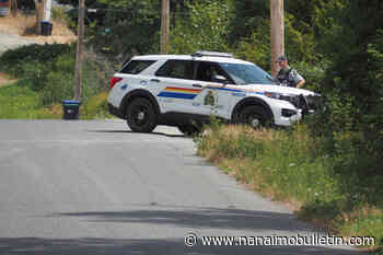 Suspect on motorbike causes small brush fire by shooting off Roman candle in Cedar