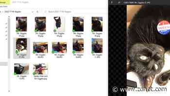 No app, no problem! 5 ways to view a file in Windows without its application