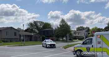 Man shot and killed by police after reports of someone with firearm in London, Ont.: watchdog