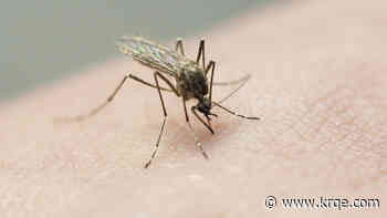 Resident in La Plata County infected with West Nile Virus