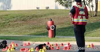 Pedestrian killed in hit-and-run in northeast Calgary, minivan sought