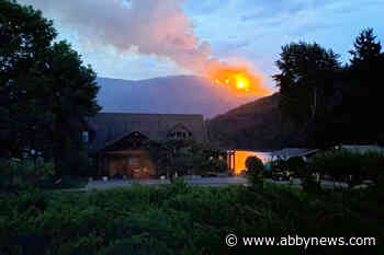 Shuswap wildfire reaches 210 hectares, evacuation alerts remain in effect