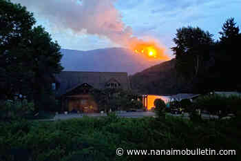 Shuswap wildfire reaches 210 hectares, evacuation alerts remain in effect