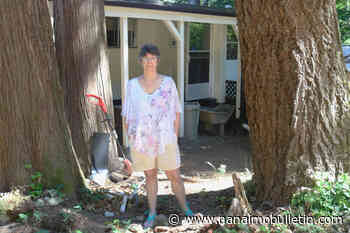 B.C. senior sleeps in her car thanks to destructive trees she can’t remove