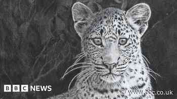 Biro artist Cy Baker's work aids conservation efforts