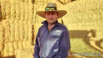 Last year northern NSW was in flood. Now it's so dry farmers are trucking in hay at 'astronomical' prices