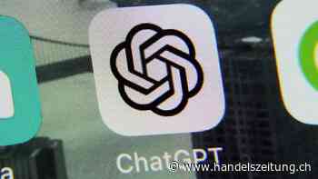 KI-Firmen versprechen Biden mehr Umsicht