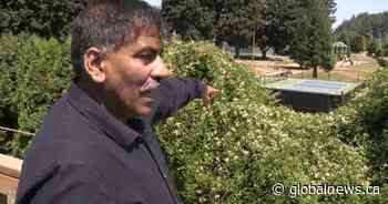 B.C. man threatens hunger strike over noisy neighbouring pickleball court