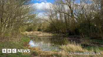 Six major nature recovery schemes across England unveiled
