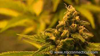 Social Equity Council releases $6M in community grants funded by cannabis sales