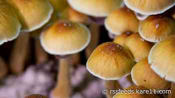 Minneapolis to deprioritize enforcement of 'magic mushrooms,' other psychoactive plants
