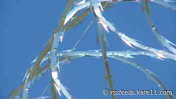 Carjacking sentences under debate