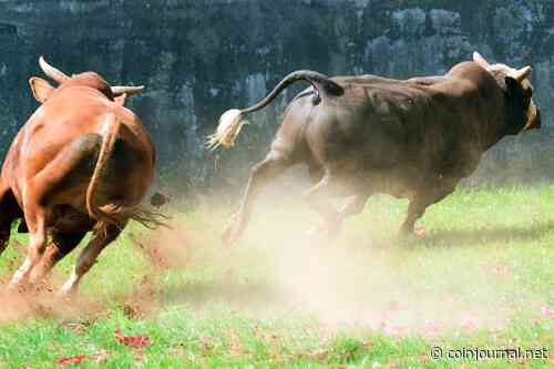 XRP price outlook: a tinge of frustration but bulls have $1 in sight