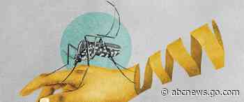 As temperatures rise, mosquitoes are also on the move. Scientists worry that could mean more malaria