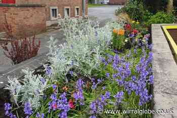 Ellesmere Port in Bloom group asks for more volunteers