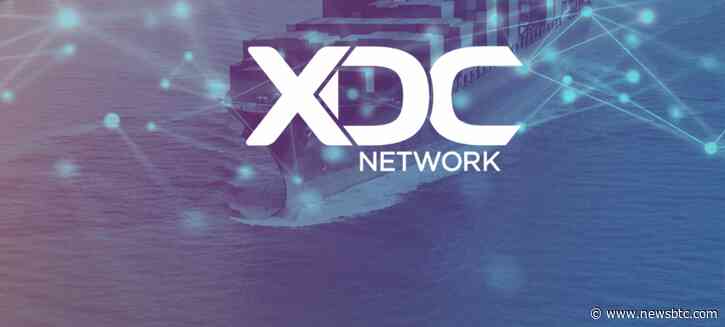 XDC Network Dominates Weekend Top 100 Roster With 50% Rally