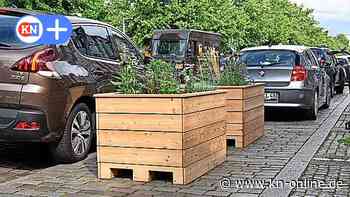Neue Blumenbeete: Der Großflecken in Neumünster blüht auf