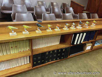 Court hearing to stop large-scale mosquito release project begins