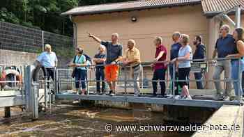 Kläranlage in Wildberg: Investitionen in Millionenhöhe geplant