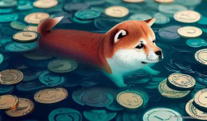 How Did Shiba Inu Price React To 3 Trillion SHIB Investor Accumulation?