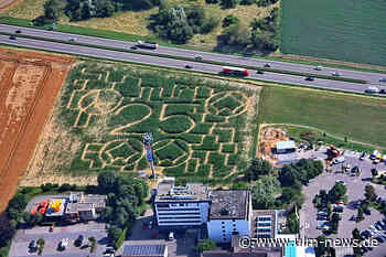 Maislabyrinth in Ulm ist im August und September geöffnet