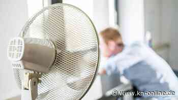 Schlaflose Nächte? Mit diesen Tipps wird der Ventilator zum Schlafretter