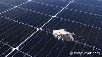 Solar Panel Scams: Avoid a Bad Deal With These 7 Tips     - CNET