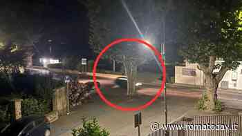 Auto lanciate a velocità folli: il lungolago si trasforma in una pista di Formula 1