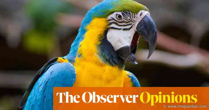 Caw-blimey, GPT-4 may be just an AI language parrot, but it’s no birdbrain | John Naughton