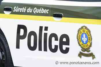 Search continues for Ukrainian refugee who went missing after swim in Quebec river