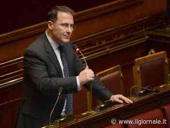 "Zaki? Il governo Meloni non si aspettava un grazie"