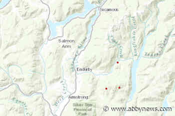 3 new wildfires burning east of Enderby in North Okanagan