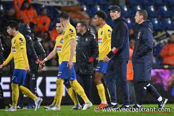 Westerlo gaat de concurrentie aan met Antwerp en Club Brugge