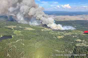 UPDATE: Wildfire south of Kamloops continues to grow, now 450 hectares