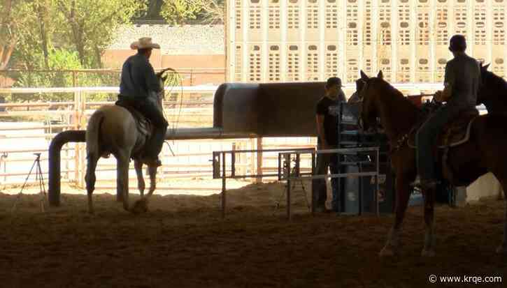 Money raised for Special Olympics through hoedown at Bernalillo County Sheriff's Posse