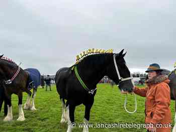 Royal Lancashire Agricultural Show delights despite weather