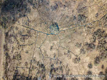 How a Paleontologist Determines How Long a Mass Extinction Lasts