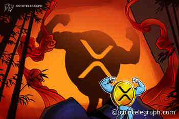 SEC's appeal won't be a setback for XRP holders – Pro XRP lawyer