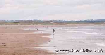The picturesque Northumberland village with one of the UK's best beaches and a historic tower