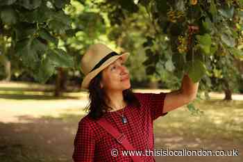 Lewisham botanist shares five things you can forage