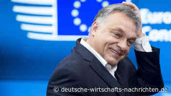 Ein „Eiserner Vorhang“ in der EU? Osteuropas Machtblock gegen den Westen