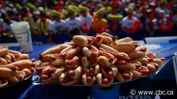 What's in a hot dog? Beef, pork, and a complicated history of class dynamics