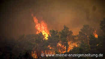 Tausende Urlauber fliehen vor Waldbrand auf Rhodos – bislang größte Evakuierung Griechenlands