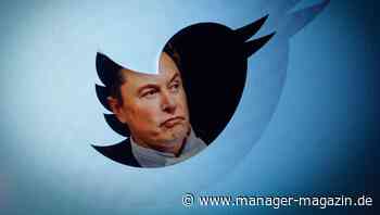 Twitter: Elon Musk bringt neues Logo ins Spiel